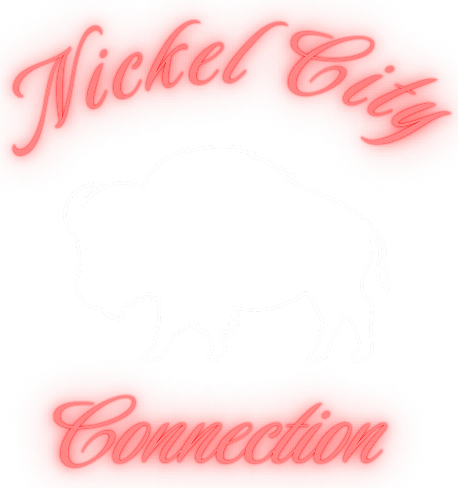 Nickel City Connection with a white Buffalo. Website landing page to shop BUFALO NEW YORK CLOTHING AND TSHIRTS.