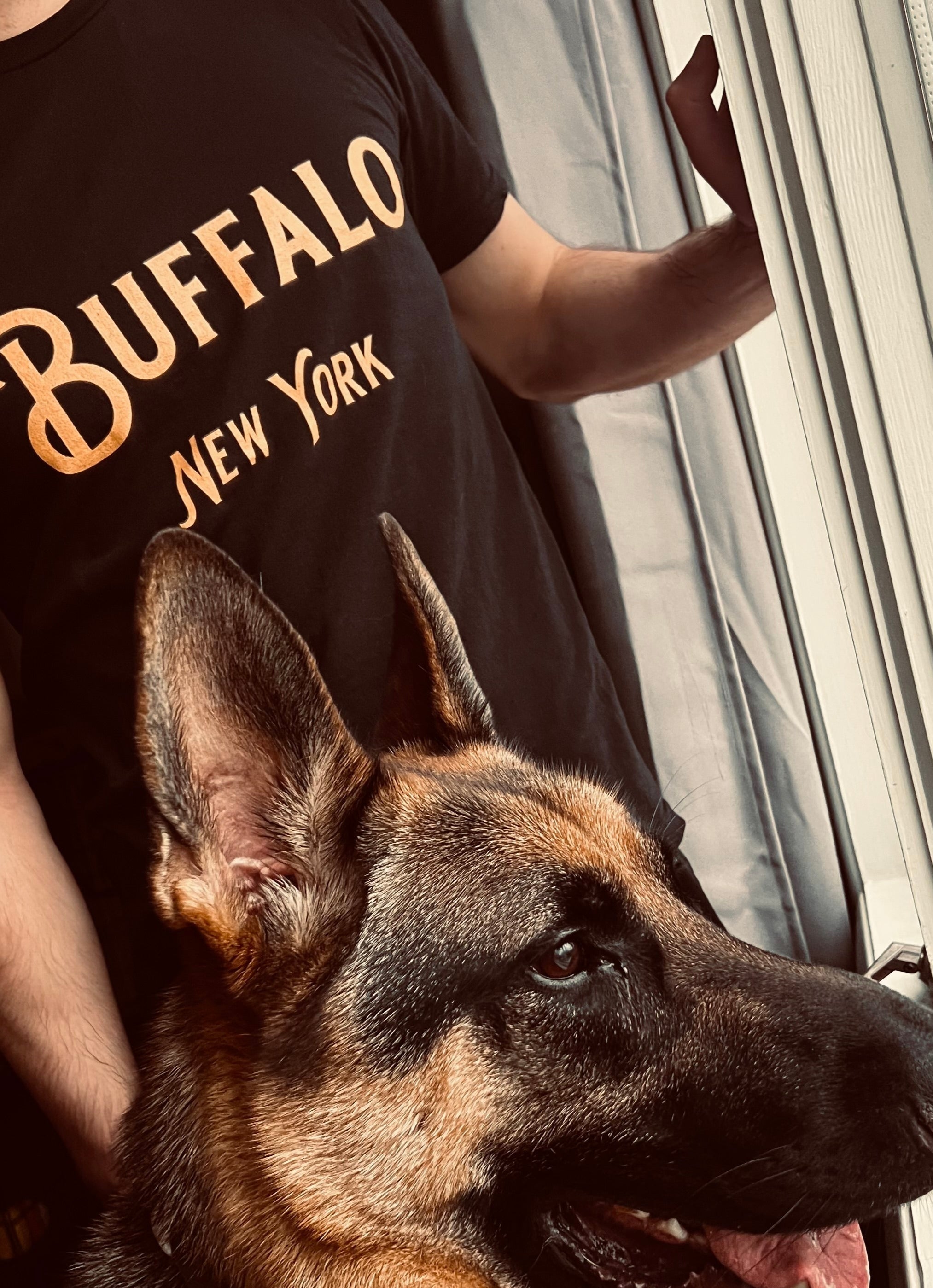 man in Buffalo NY tshirt with a German Shepard looking out window