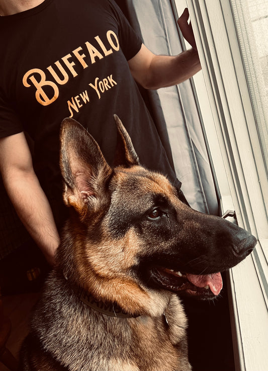 man in Buffalo NY tshirt with a German Shepard looking out window